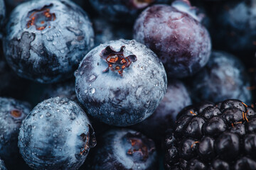 Beautiful macro of a fresh blueberry