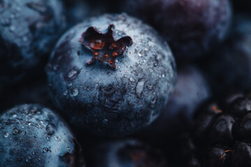 Beautiful macro of a fresh blueberry
