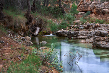 Creek flowing water between rocks in the forest. Little river stream among stones in the mountain