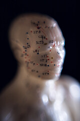 Obraz premium Acupuncture doll 