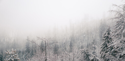Obraz na płótnie Canvas Góry w mglisty dzień