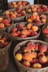 peaches in a market