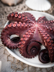 octopus on the market