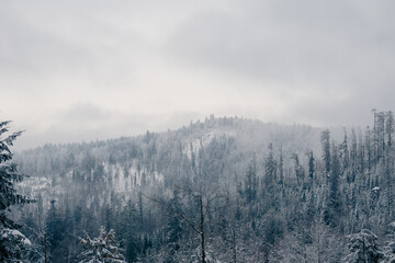 Fototapeta na wymiar Góry w mglisty dzień