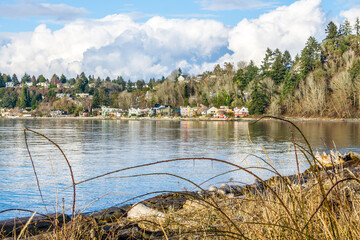 Shoreline From Lincoln Park 7