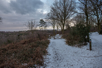 Hindhead Common, in the Snow