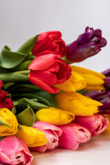 Yellow, pink, red, lilac tulips with green leaves on a white background