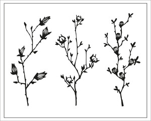 decorative branches with berries, leaves and buds, linear, black and white botanical illustration