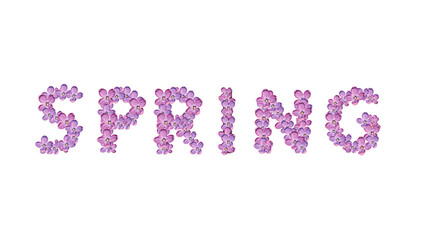 words in english made up of lilac flowers on white background