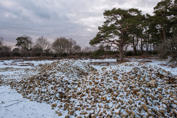 Hindhead Common, in the Snow