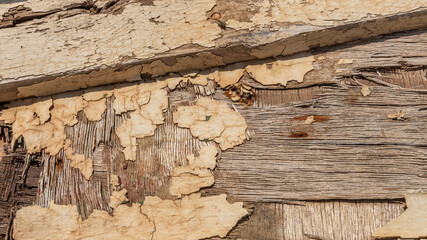 close up of peeling paint on weathered plywood of a shipwreck in Greece