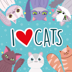 I love cats, cute animals cartoon adorable character pet