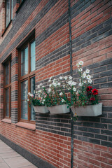 Fototapeta na wymiar red brick building with flowers