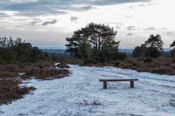 Hindhead Common, in the Snow