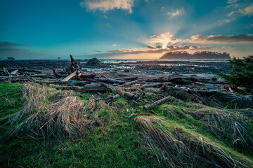 sunset over the sea at Cape Alava in Olympic National Park