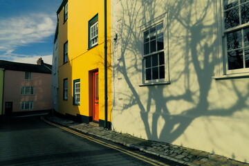 Tree shadow on the wall in Lyme Regis, UK