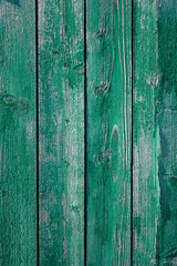 The vertical planks are nailed to the wall of the shed by rusty nails. the Planks are colored green. Old paint peeling outdoors.