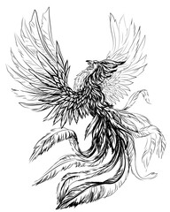 Phoenix. Black and white, graphic, digital drawing of the phoenix bird on a white background. Vector graphics. Separate layers.