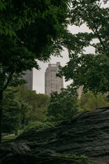 Fototapeta na wymiar Edificios desde Central Park