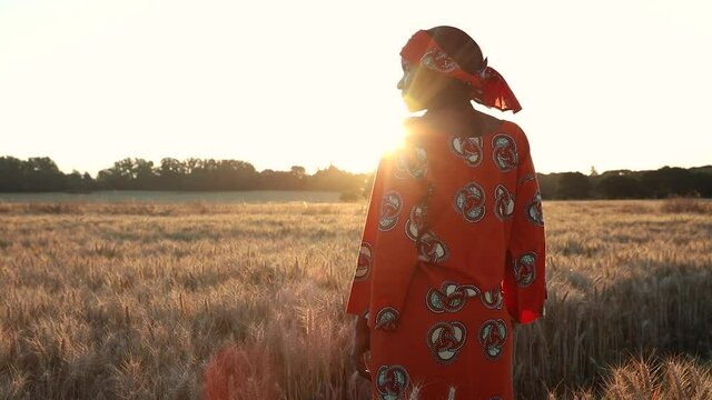 African woman farmer in traditional clothes standing in a field of crops, wheat or barley, in Africa at sunset or sunrise