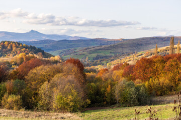 Autumn mountain landscape - yellowed and reddened autumn trees combined with green needles and blue skies. Colorful autumn landscape scene in the Ukrainian Carpathians. Panoramic view.