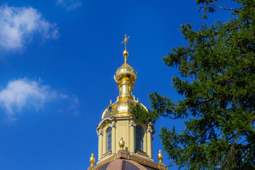 Fototapeta na wymiar Gilded upper part of orthodox Christian temple against background of blue sky and green spruce branches