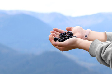Woman holding many fresh ripe blackberries outdoors, closeup