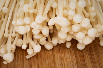 Enoki Pilze