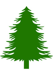 Christmas Tree, Pine, Christmas Decoration, Green, Winter, 