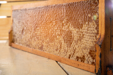 Fototapeta na wymiar Honeycomb, honeycombs in the wooden frame. Wooden background, selective focus.