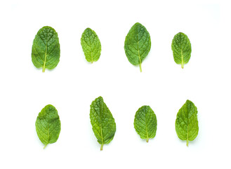 Peppermint leaves isolated