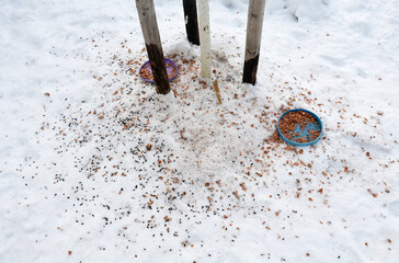 feeding birds on the feeder using sunflower, millet, flax, feeder, bowl, snowdrift, tallow in the...