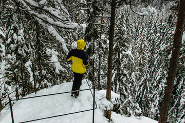 Person enjoying winter view from Kyjov clifftop,romantic Krinice River canyon near Krasna Lipa in...