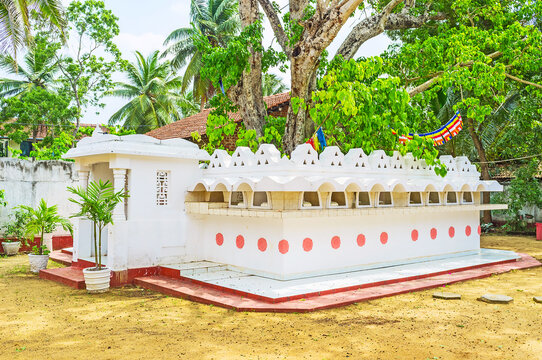 The Bodhi tree of Sri Devagiri Viharaya in Chilaw, Sri Lanka