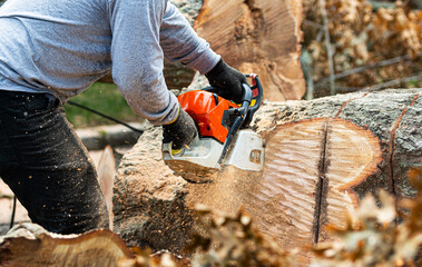 Close up of landscaper cutting up tree truncks with a chainsaw