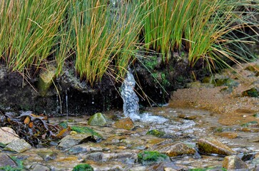 Source at seaside in Brittany. France