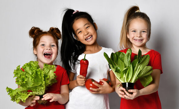 Smiling girls of different nationalities keep fresh ingredients for a salad and looking at the camera. Beautiful children posing against the background of a gray wall. Healthy food concept.