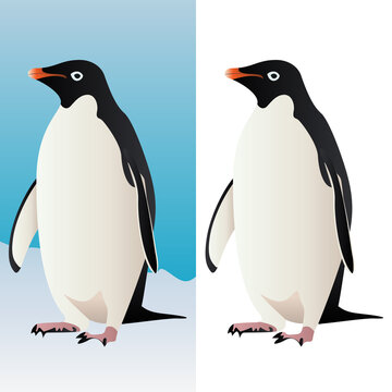 Stehender Pinguin - Tier Vogel