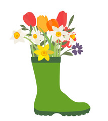 Gardening boot with flowers tulips and daffodils. Spring Concept. Vector Illustration. EPS10