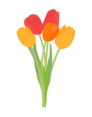 Bouquet of spring flowers tulips isolated on white background Vector Illustration EPS10