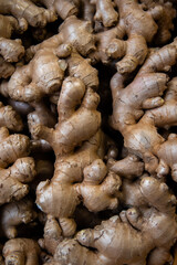 Pile of ginger roots