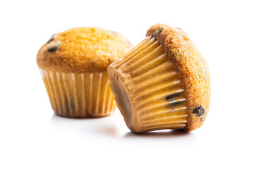 Vanilla muffins. Sweet cupcakes.
