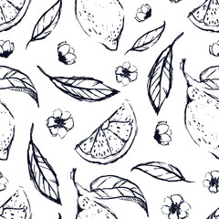 Hand draw lemon seamless pattern background wallpaper. Cute seamless pattern with lemons. Vector seamless pattern with lemon, leaves and flower. Lemon line  background.