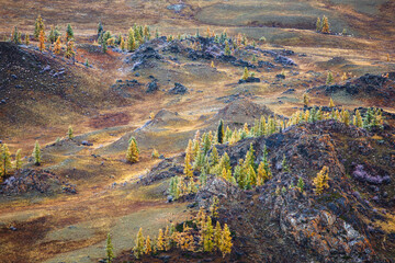 Mountain autumn landscape, valley, trees, Altai