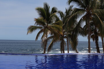 An amazing view of the ocean, palm trees, and the beach from the infinity pool at Los Cabos, Mexico. 