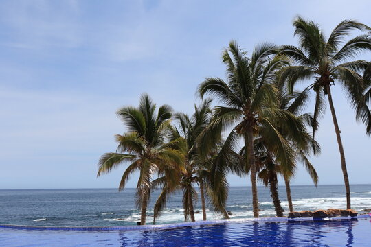 An Amazing View Of The Ocean, Palm Trees, And The Beach From The Infinity Pool At Los Cabos, Mexico. 