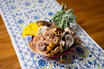 Various Kinds of Mushrooms for cooking
