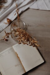 Obraz na płótnie Canvas dried flowers