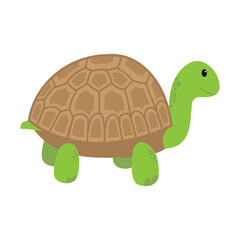 Cartoon turtle. Illustration isolated on white background.