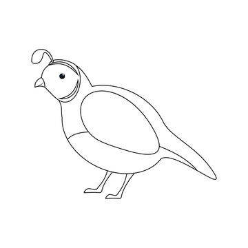 recommend clip art: Outline cartoon quail isolated on white background. Coloring page.